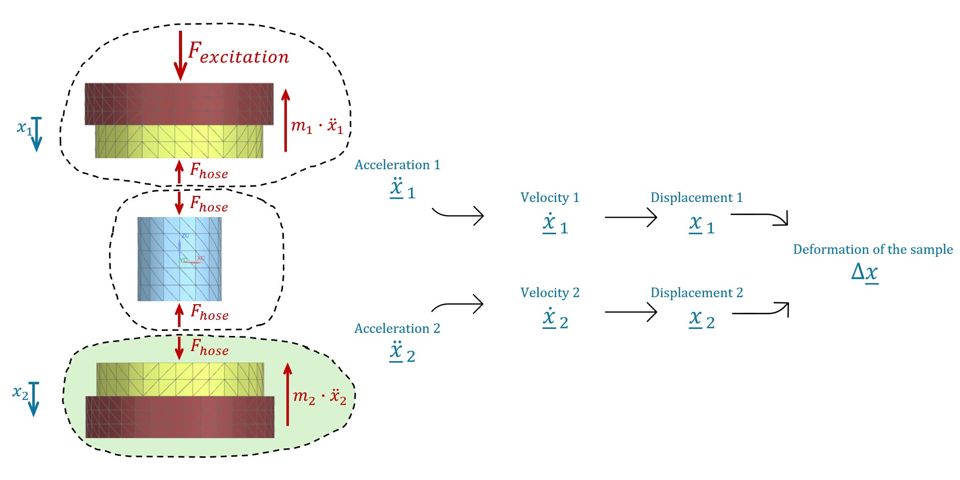 Free-body diagram of the passive part